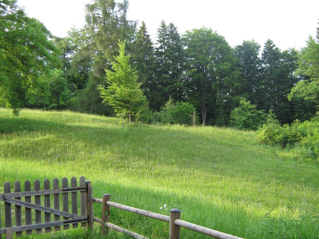 Borgo Valsugana Chalet La Montagnolaヴィラ エクステリア 写真